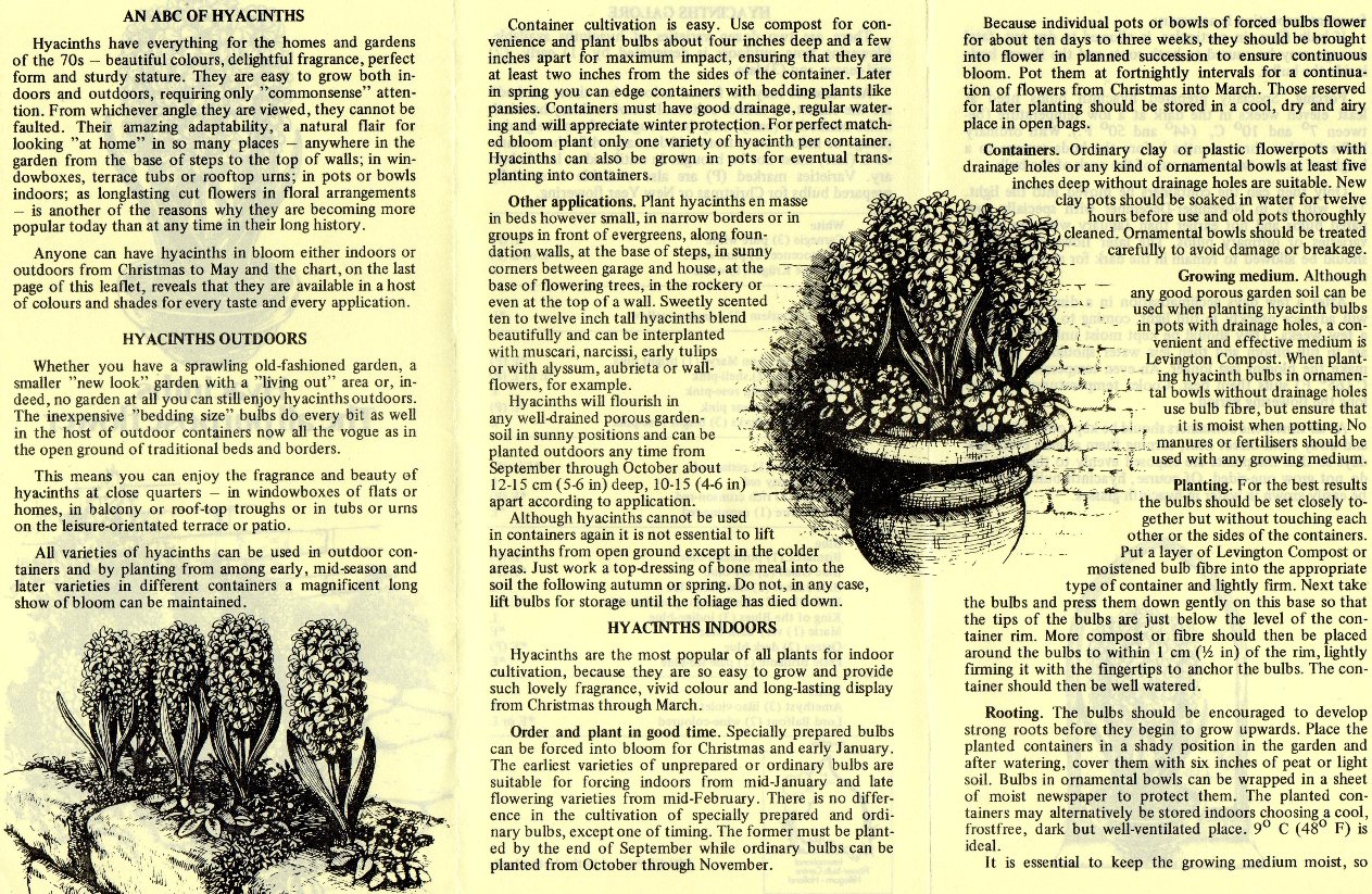 Bulb Forcing Leaflets garden withindoors